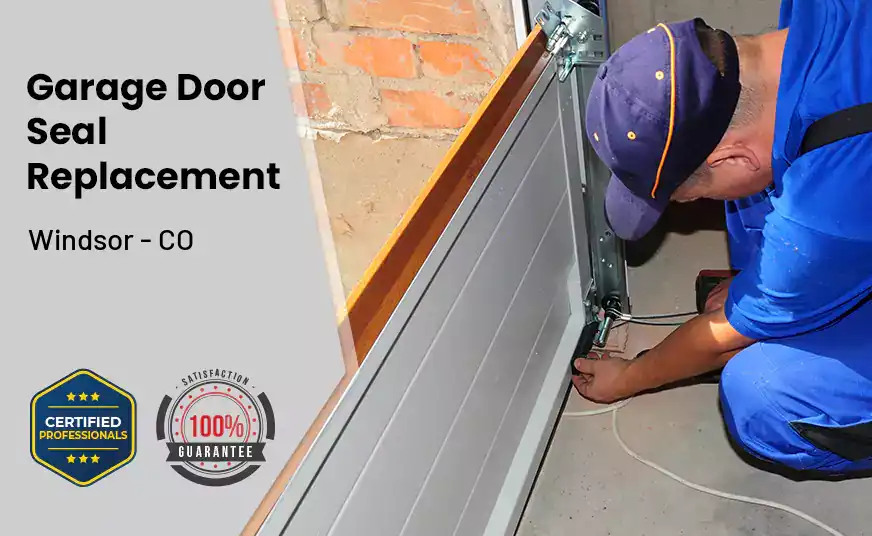 Garage Door Seal Replacement Windsor - CO